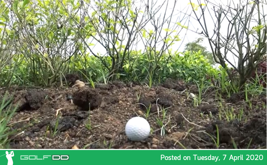 Golfdd Talk Easy #ep5 - ลูกติดอยู่ในเขตอุปสรรค ข้างหน้าเป็นต้นไม้ ข้างหลังเป็นไม้ค้ำยัน จะทำยังไง