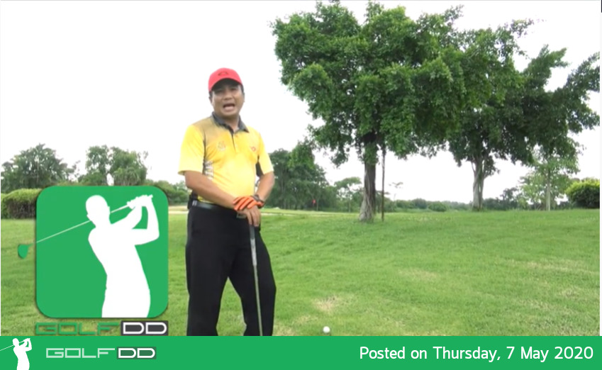 Golfdd Talk Easy #Ep14 - ต้นไม้ใหญ่บังกรีน จะเล่นโด่งข้ามให้ตกหยุดเล่นยังไงยืนแบบใหน