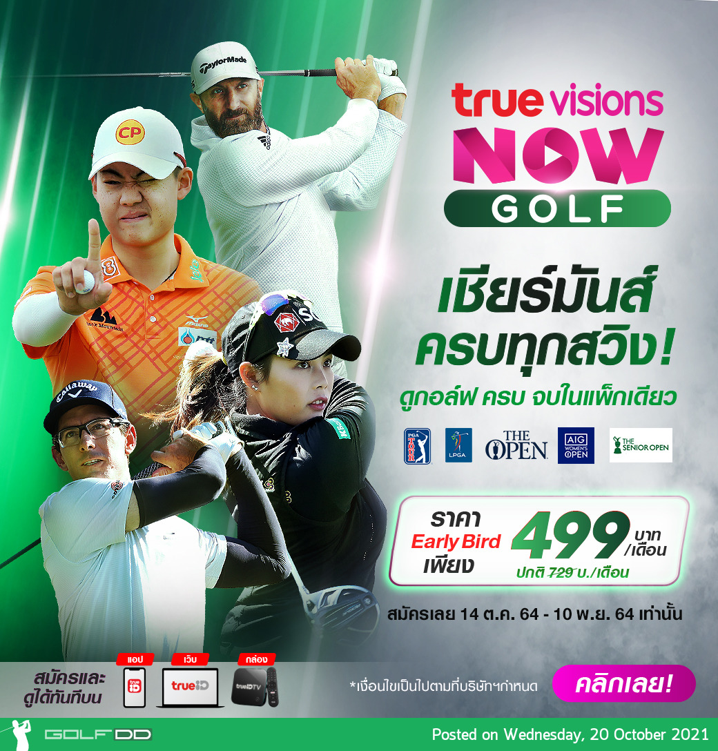 TrueVisions NOW คืออะไร? 