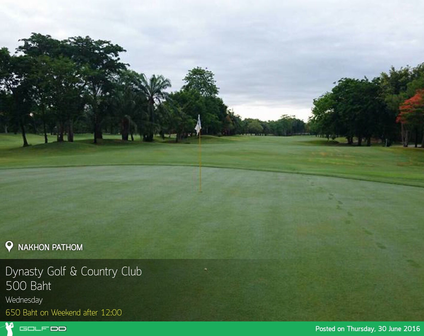 Dynasty Golf & Country Club News สนามกอล์ฟ ไดนาสตี้ กอล์ฟ แอนด์ คันทรี คลับ