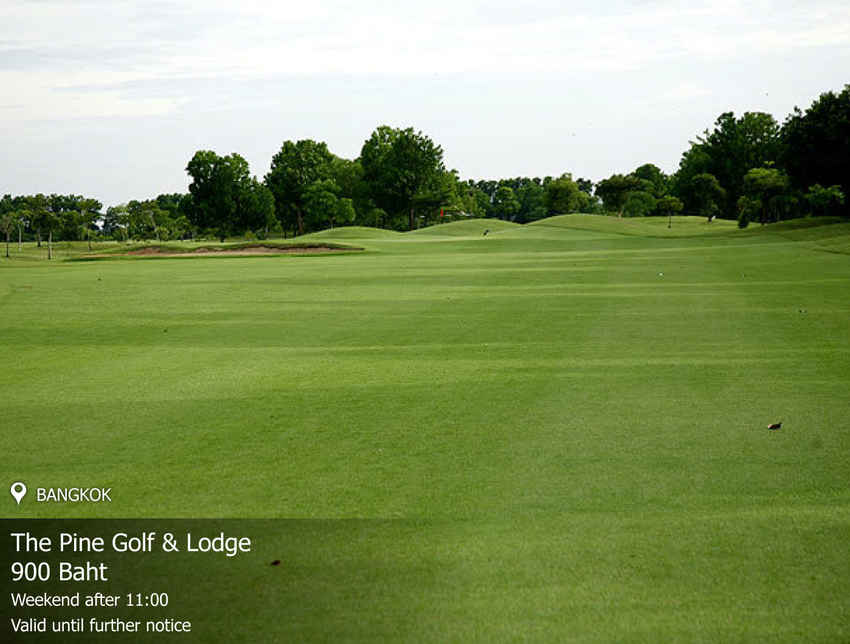 The Pine Golf & Lodge News สนามกอล์ฟ เดอะ ไพน์ กอล์ฟ แอนด์ ลอดจ์