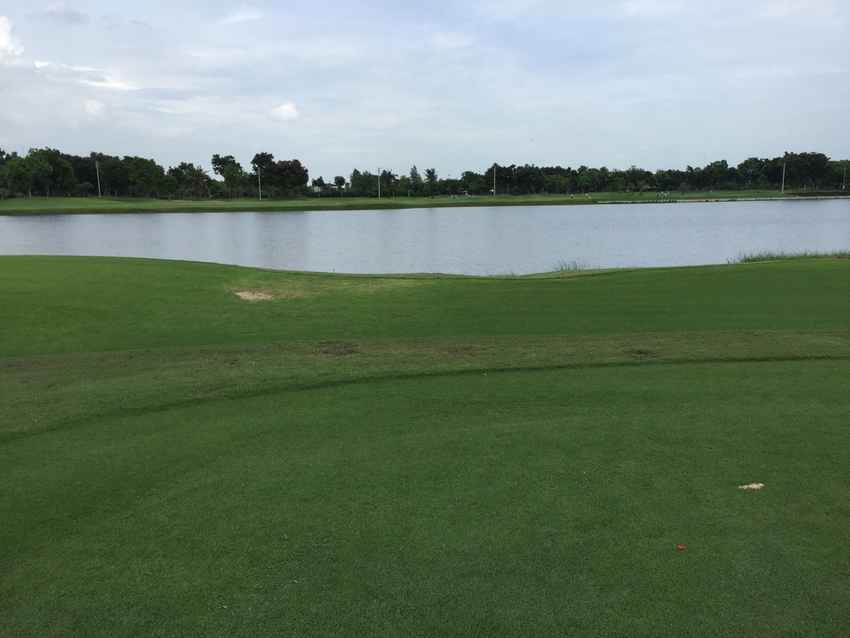 วันแรงงาน ออกรอบ ดูนกในกรุงเทพที่ The Legacy Golf Club 