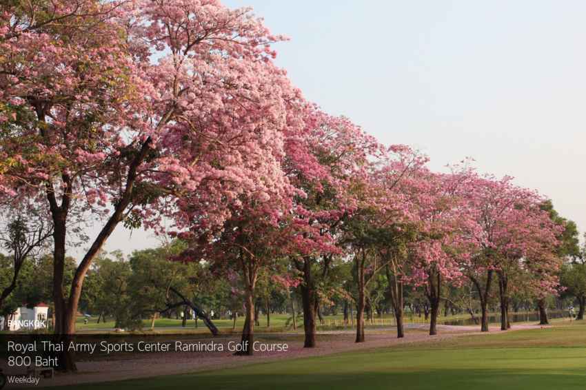 วันศุกร์ สนุกสุดๆ ที่ศูนย์พัฒนากีฬากองทัพบก รามอินทรา 