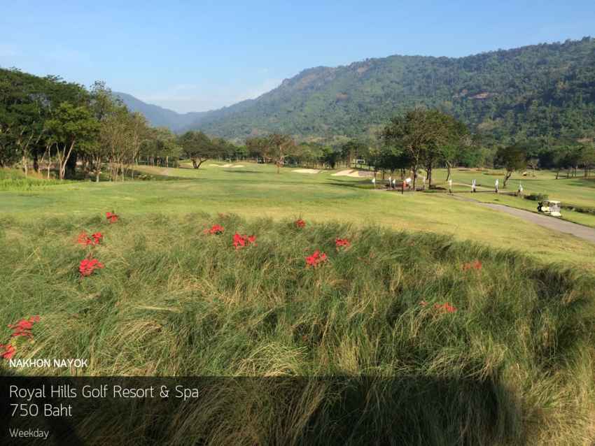 ออกรอบยั่วๆ ท่ามกลางธรรมชาติที่ Royal Hills Golf Resort & Spa นครนายก พร้อมจองผ่าน Golfdd จ่ายเงินได้ที่สนามกอล์ฟ 