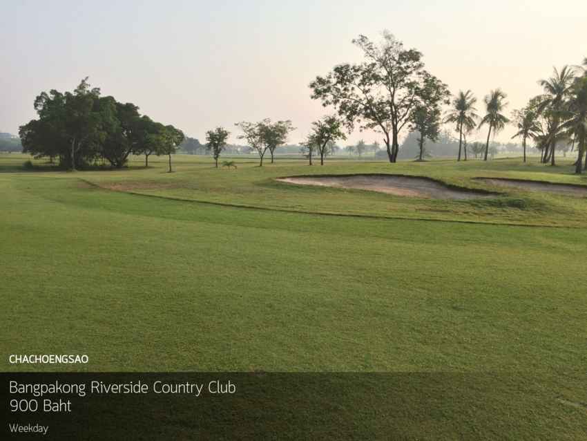 ออกรอบริมแม่น้ำ บรรยากาศสดชื่นที่ Bangpakong Riverside Country Club ฉะเชิงเทรา พร้อม Booking Teetime กับ golfdd จ่ายเงินที่สนามได้เลย 
