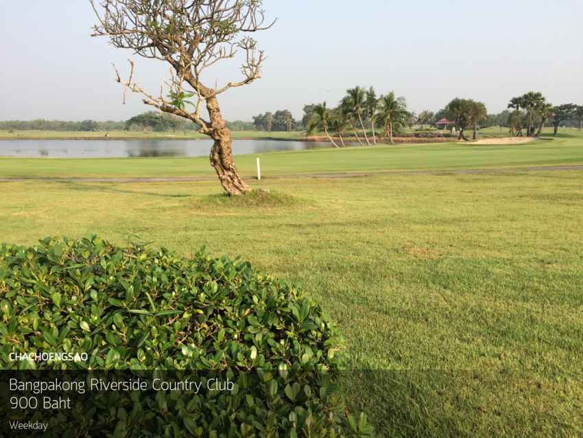 ออกรอบสบาย กินบรรยากาศที่ Bangpakong Riverside Country Club ฉะเชิงเทรา พร้อม Booking Teetime กับ golfdd จ่ายเงินที่สนามได้เลย 