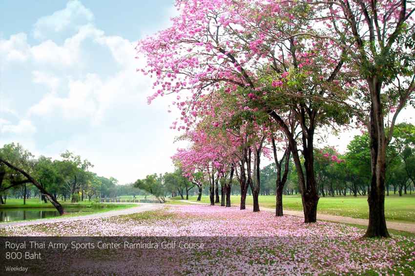 Royal Thai Army Sports Center Ramindra Golf Course ออกรอบชิวๆกลางเมืองกรุง เดินทางง่าย สะดวกสบาย 