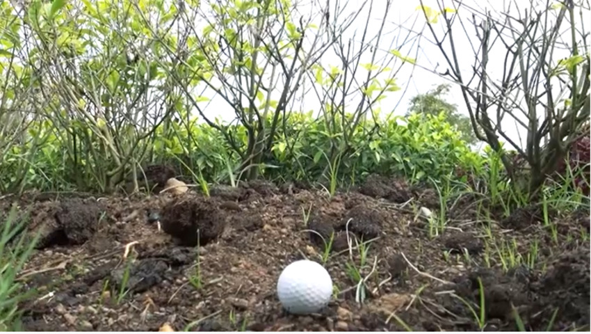 Golfdd Talk Easy #ep5 - ลูกติดอยู่ในเขตอุปสรรค ข้างหน้าเป็นต้นไม้ ข้างหลังเป็นไม้ค้ำยัน จะทำยังไง 