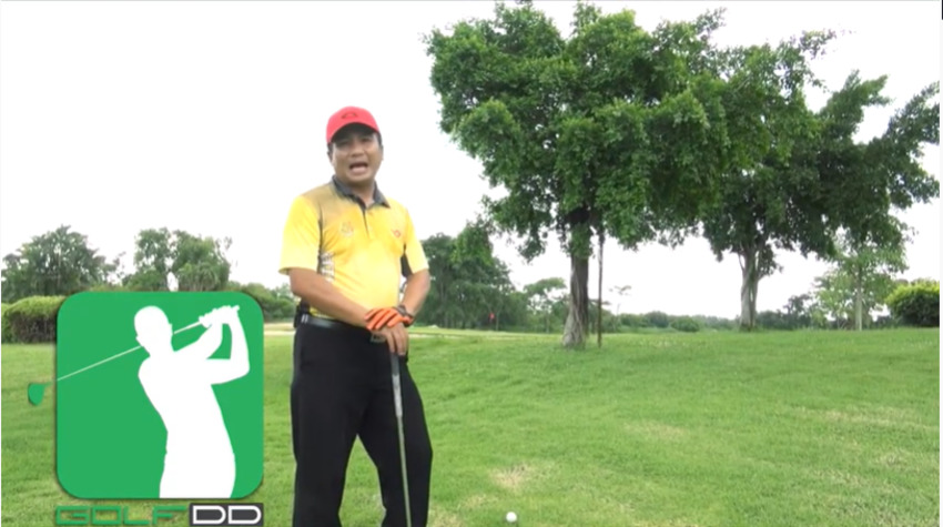 Golfdd Talk Easy #Ep14 - ต้นไม้ใหญ่บังกรีน จะเล่นโด่งข้ามให้ตกหยุดเล่นยังไงยืนแบบใหน 