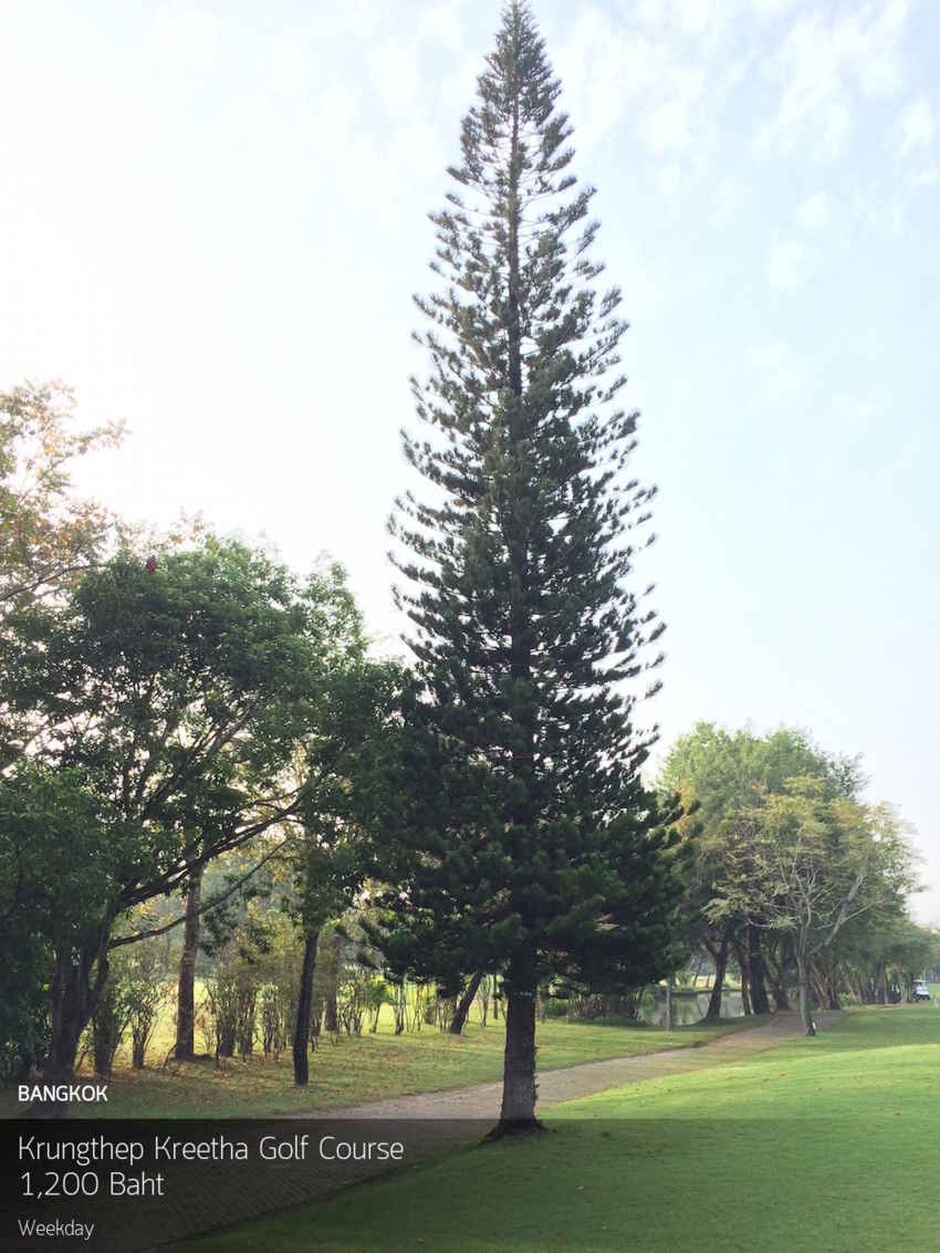 สนามดีประจำจังหวัดกรุงเทพคอกอล์ฟห้ามพลาดสนามสวยๆวิวดีขนาดนี้ ต้อง  Krungthep Kreetha Golf Course สักครั้งในชีวิตต้องลอง 