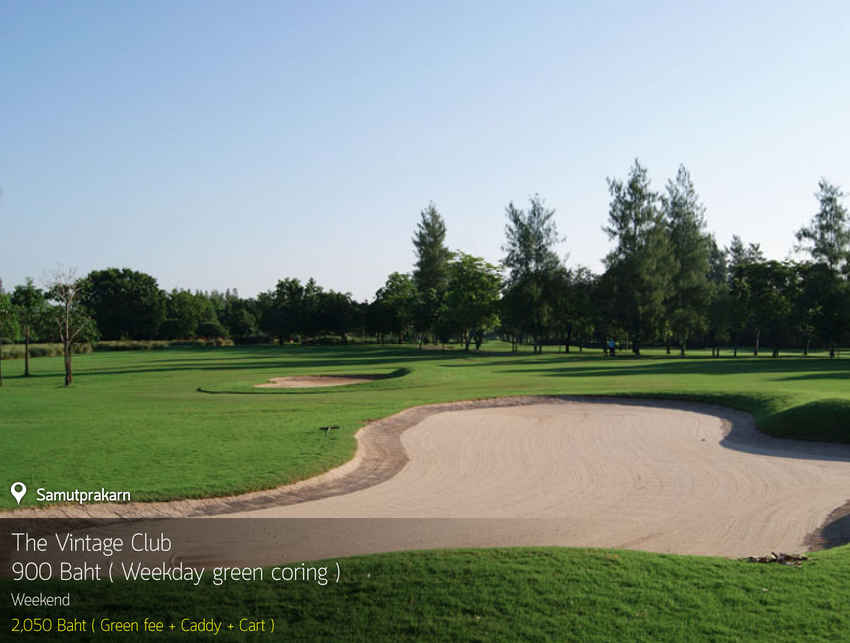 The Vintage Club News สนามกอล์ฟ เดอะ วินเทจ คลับ