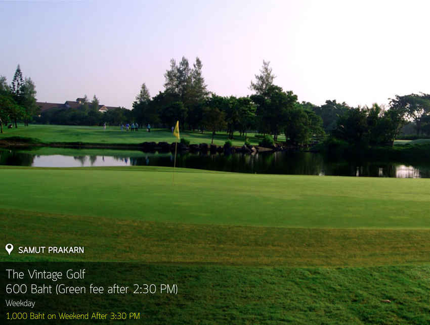 The Vintage Club News สนามกอล์ฟ เดอะ วินเทจ คลับ