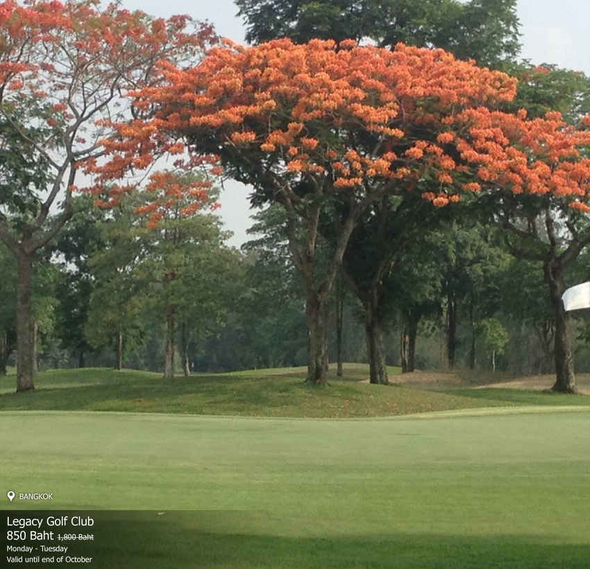 The Legacy Golf Club News สนามกอล์ฟ เดอะ เลกาซี่ กอล์ฟ คลับ