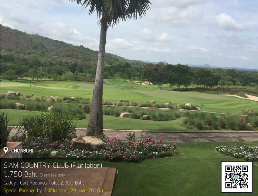 Siam Country Club Pattaya Plantation News สนามกอล์ฟ สยาม คันทรี คลับ พัทยา แพลนเทชั่น