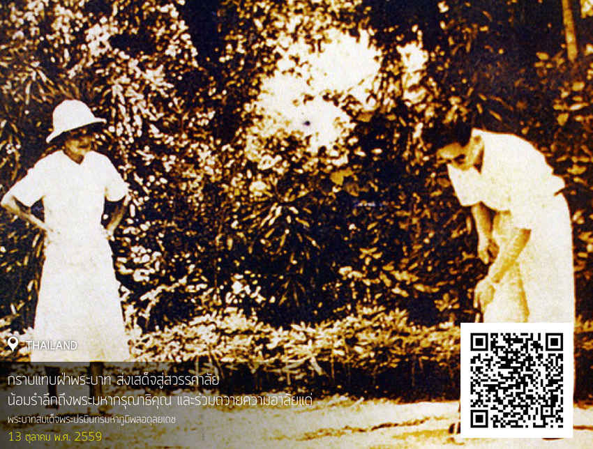 ร่วมถวายความอาลัยแด่พ่อหลวงของประเทศไทย และ การเล่นกีฬาของพระบาทสมเด็จพระปรมินทรมหาภูมิพลอดุลยเดช 