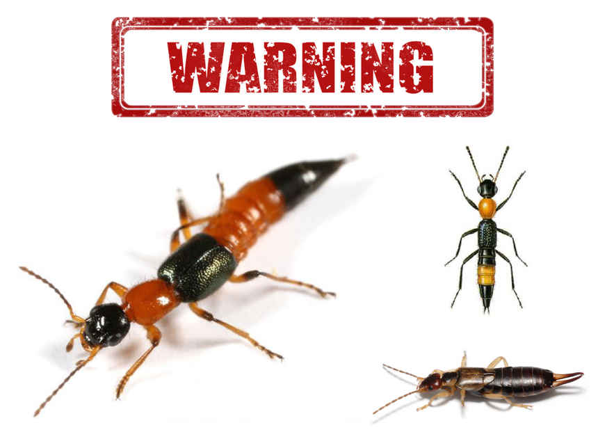 เตือนภัยสำหรับนักกอล์ฟ  !!! กรุณาแชร์โพสนี้ 